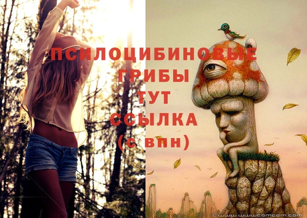 твердый Абдулино