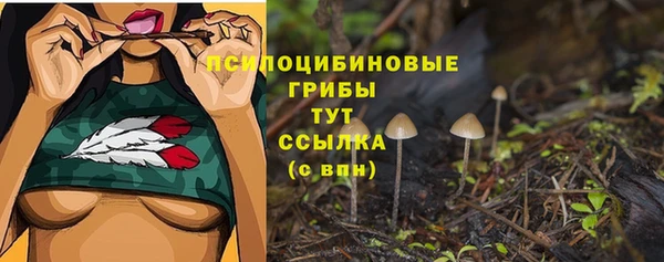 амф Алексин