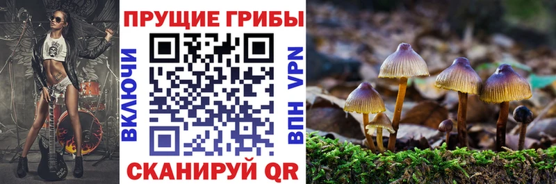 Галлюциногенные грибы мицелий  Пойковский 
